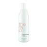 - POSTQUAM - Champú control Caída 250 ml