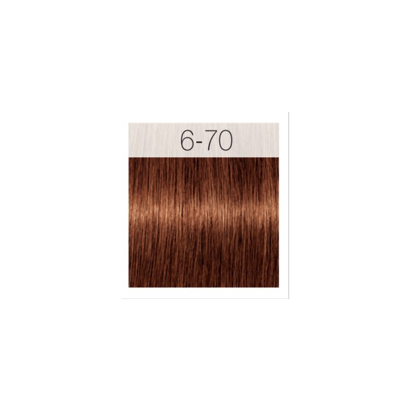 - SCHWARZKOPF - Tinte Igora Royal Absolutes 6/70 Rubio Oscuro Cobrizo Natural 60 ml - SCHWARZKOPF - Tinte Igora Royal Absolutes 6/70 Rubio Oscuro Cobrizo Natural 60 ml