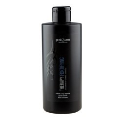 - POSTQUAM - Champú Anticaída FORTIFYING 400 ml