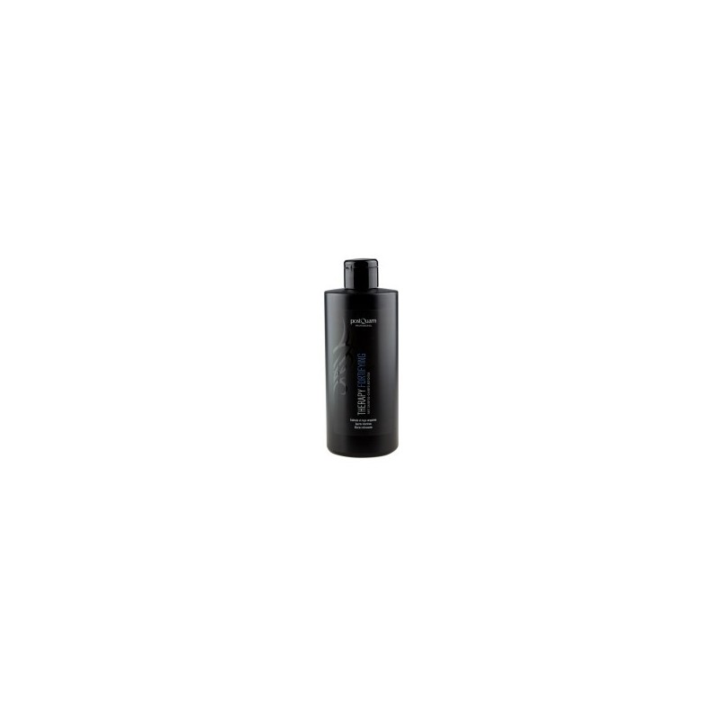- POSTQUAM - Champú Anticaída FORTIFYING 400 ml - POSTQUAM - Champú Anticaída FORTIFYING 400 ml