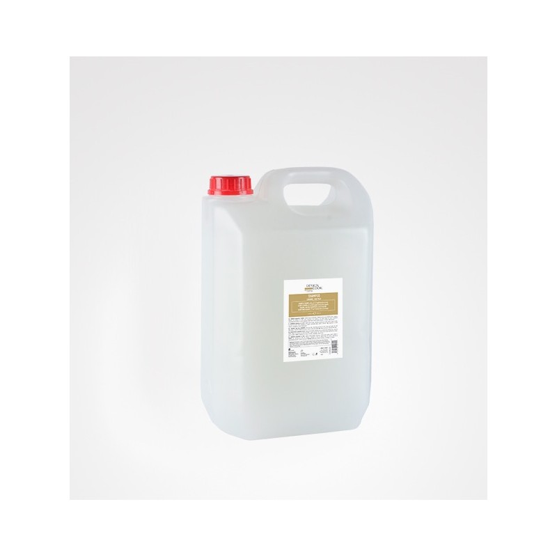 - DESIGN LOOK - Champú CARAMELO Y LECHE 5000 ml - DESIGN LOOK - Champú CARAMELO Y LECHE 5000 ml