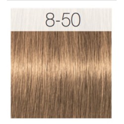 - SCHWARZKOPF - Tinte Igora Royal Absolutes 8/50 Rubio Claro Dorado Natural 60 ml + oxidante gratis