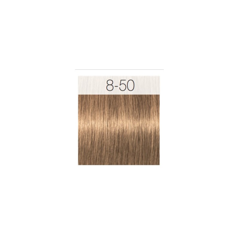 - SCHWARZKOPF - Tinte Igora Royal Absolutes 8/50 Rubio Claro Dorado Natural 60 ml + oxidante gratis - SCHWARZKOPF - Tinte Igora Royal Absolutes 8/50 Rubio Claro Dorado Natural 60 ml + oxidante gratis