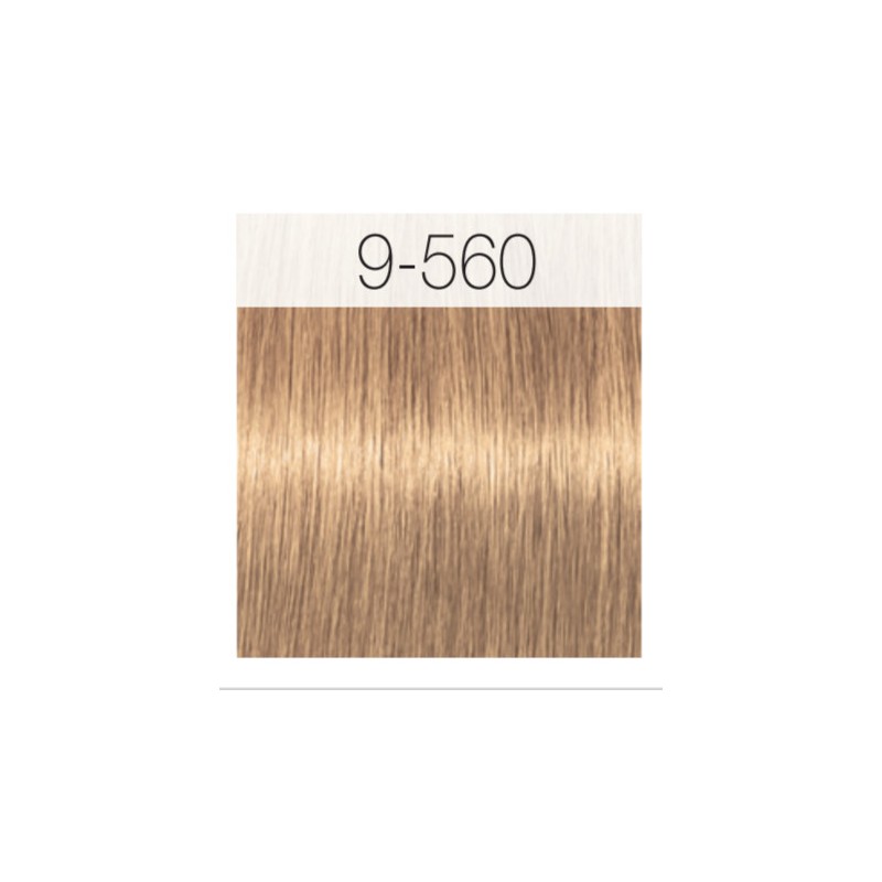 - SCHWARZKOPF - Tinte Igora Royal Absolutes 9/560 Rubio Muy Claro Dorado Chocolate 60 ml + oxidante gratis - SCHWARZKOPF - Tinte Igora Royal Absolutes 9/560 Rubio Muy Claro Dorado Chocolate 60 ml + oxidante gratis