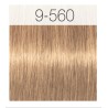 - SCHWARZKOPF - Tinte Igora Royal Absolutes 9/560 Rubio Muy Claro Dorado Chocolate 60 ml + oxidante gratis