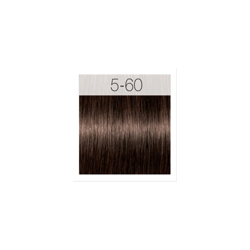 - SCHWARZKOPF - Tinte Igora Royal Absolutes 5/60 Castaño Claro Chocolate Natural 60 ml + oxidante gratis - SCHWARZKOPF - Tinte Igora Royal Absolutes 5/60 Castaño Claro Chocolate Natural 60 ml + oxidante gratis
