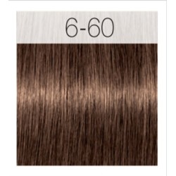 - SCHWARZKOPF - Tinte Igora Royal Absolutes 6/60 Rubio Oscuro Chocolate Natural 60 ml + oxidante gratis