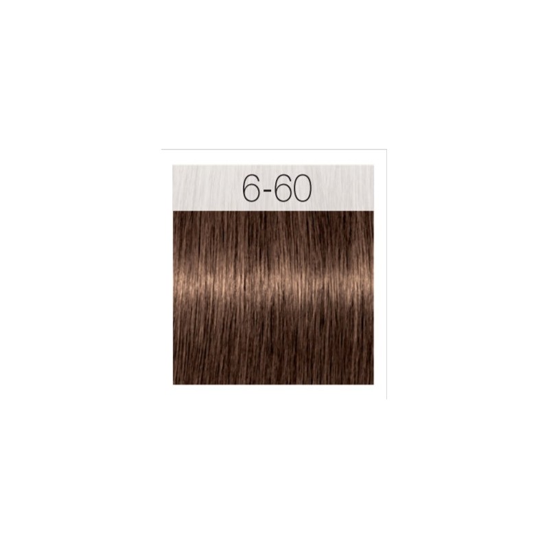 - SCHWARZKOPF - Tinte Igora Royal Absolutes 6/60 Rubio Oscuro Chocolate Natural 60 ml + oxidante gratis - SCHWARZKOPF - Tinte Igora Royal Absolutes 6/60 Rubio Oscuro Chocolate Natural 60 ml + oxidante gratis