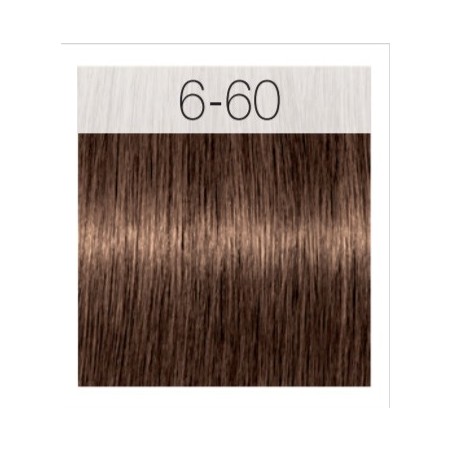 - SCHWARZKOPF - Tinte Igora Royal Absolutes 6/60 Rubio Oscuro Chocolate Natural 60 ml + oxidante gratis