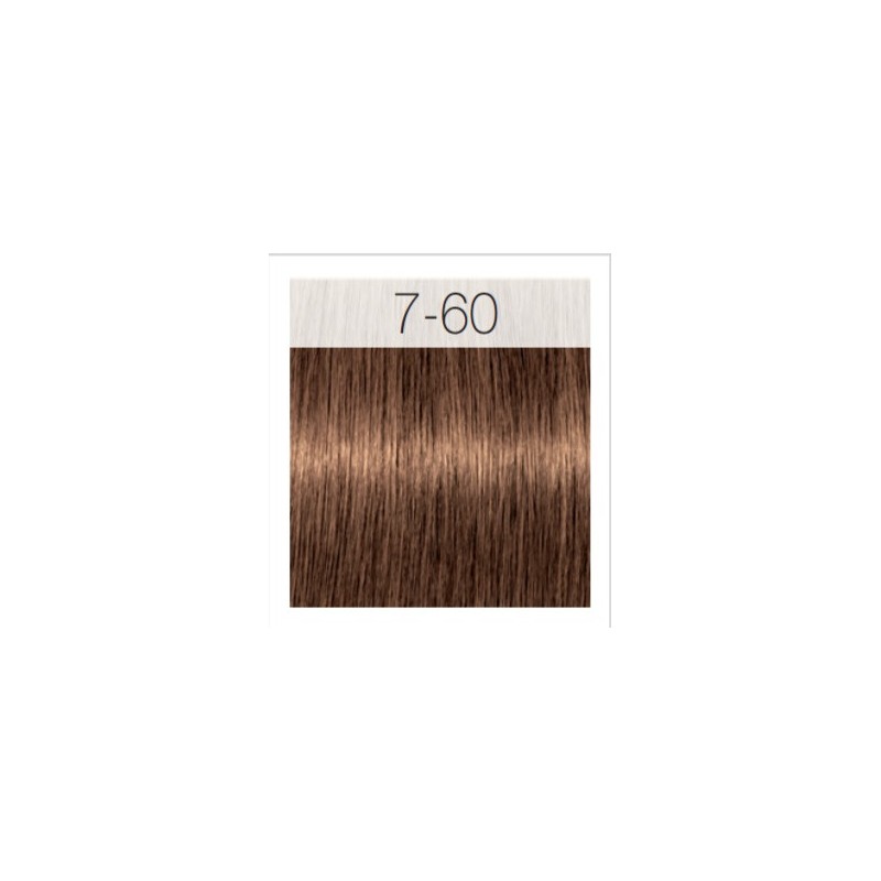 - SCHWARZKOPF - Tinte Igora Royal Absolutes 7/60 Rubio Medio Chocolate Natural 60 ml + oxidante gratis - SCHWARZKOPF - Tinte Igora Royal Absolutes 7/60 Rubio Medio Chocolate Natural 60 ml + oxidante gratis