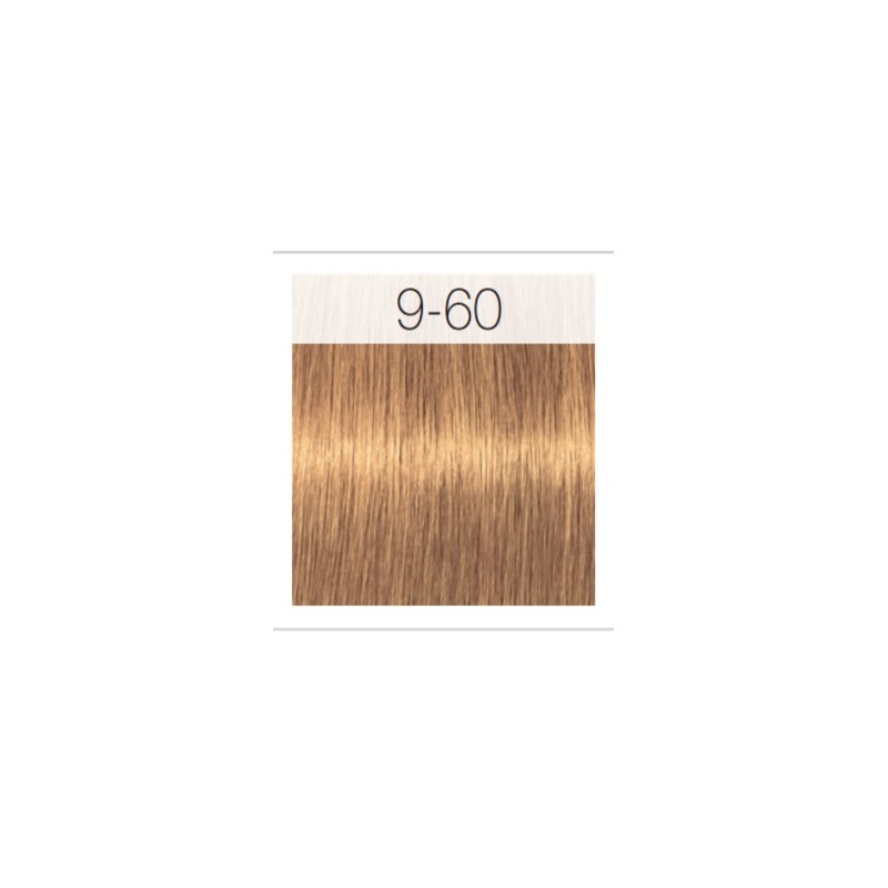 - SCHWARZKOPF - Tinte Igora Royal Absolutes 9/60 Rubio Muy Claro Chocolate Natural 60 ml + oxidante gratis