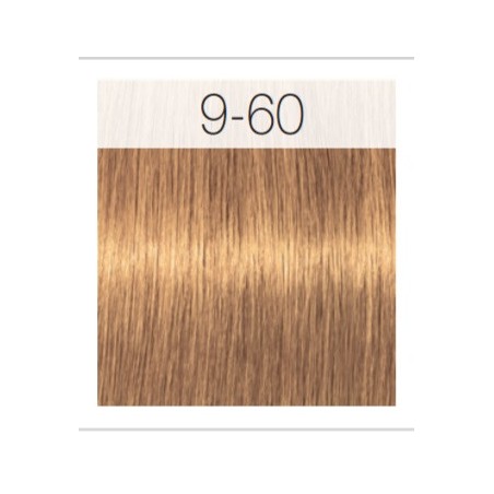 - SCHWARZKOPF - Tinte Igora Royal Absolutes 9/60 Rubio Muy Claro Chocolate Natural 60 ml + oxidante gratis