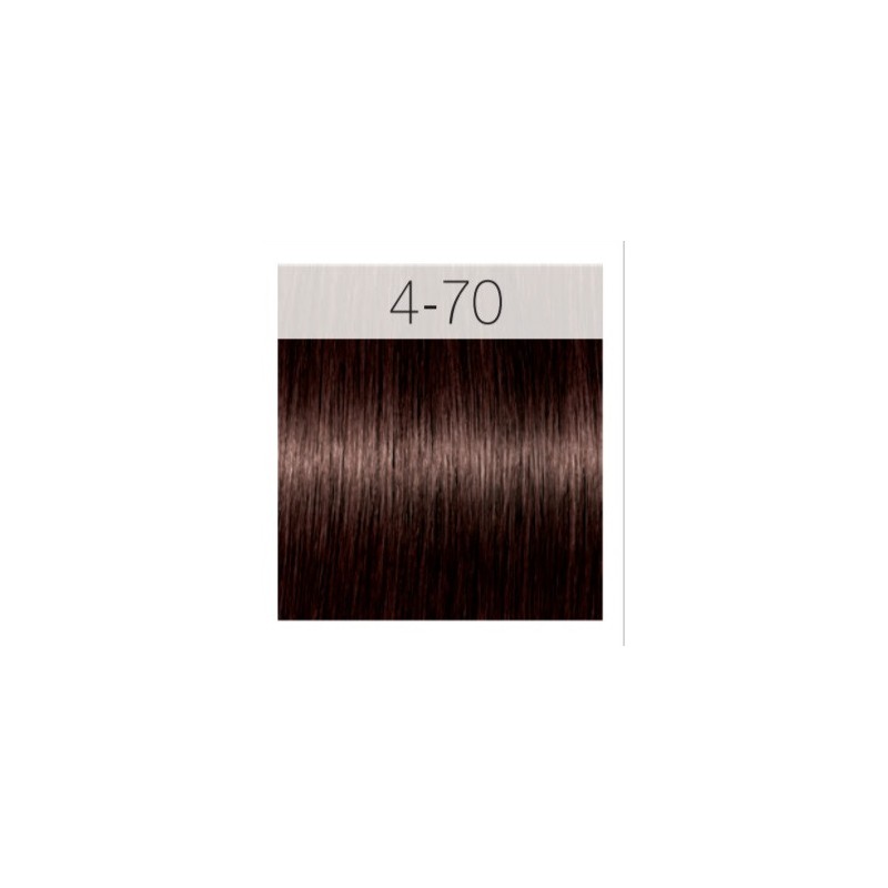 - SCHWARZKOPF - Tinte Igora Royal Absolutes 4/70 Castaño Medio Cobrizo Natural 60 ml + oxidante gratis - SCHWARZKOPF - Tinte Igora Royal Absolutes 4/70 Castaño Medio Cobrizo Natural 60 ml + oxidante gratis