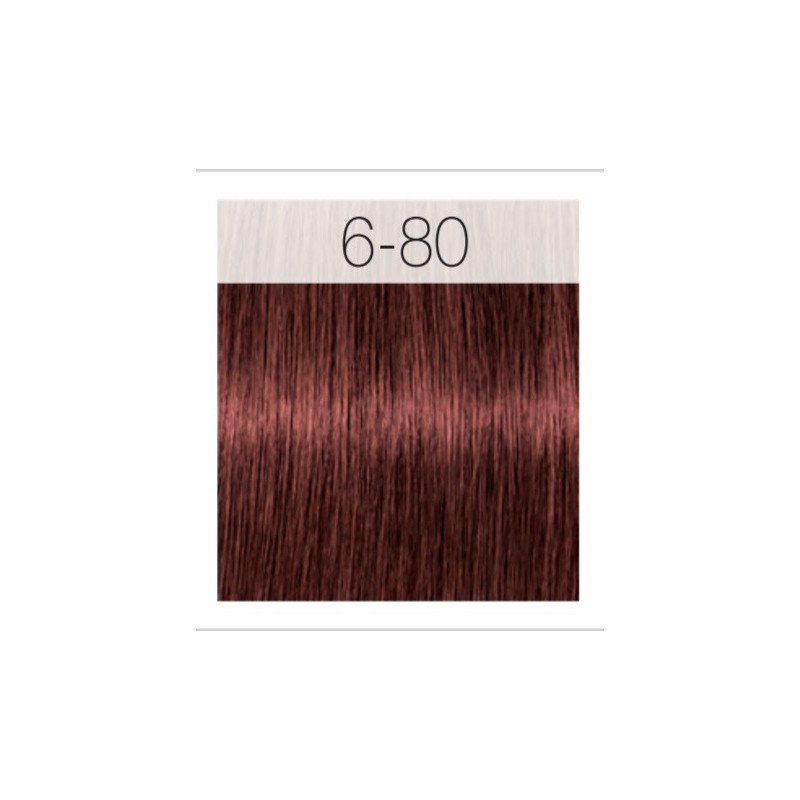 - SCHWARZKOPF - Tinte Igora Royal Absolutes 6/80 Rubio Oscuro Rojo Natural 60 ml + oxidante gratis - SCHWARZKOPF - Tinte Igora Royal Absolutes 6/80 Rubio Oscuro Rojo Natural 60 ml + oxidante gratis
