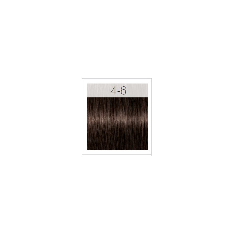 - SCHWARZKOPF - Tinte Igora Royal 4/6 Castaño Medio Marrón 60 ml + oxidante gratis - SCHWARZKOPF - Tinte Igora Royal 4/6 Castaño Medio Marrón 60 ml + oxidante gratis