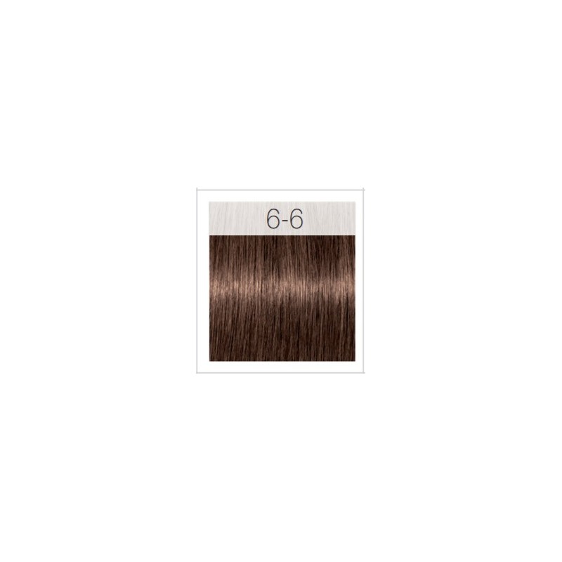 - SCHWARZKOPF - Tinte Igora Royal 6/6 Rubio Oscuro Marrón 60 ml+ oxidante gratis - SCHWARZKOPF - Tinte Igora Royal 6/6 Rubio Oscuro Marrón 60 ml+ oxidante gratis