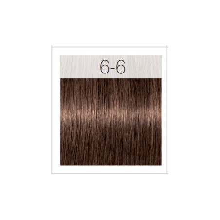 - SCHWARZKOPF - Tinte Igora Royal 6/6 Rubio Oscuro Marrón 60 ml+ oxidante gratis