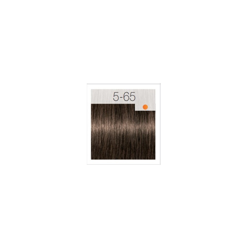 - SCHWARZKOPF - Tinte Igora Royal 5/65 Castaño Claro Marrón Dorado 60 ml + oxidante gratis - SCHWARZKOPF - Tinte Igora Royal 5/65 Castaño Claro Marrón Dorado 60 ml + oxidante gratis