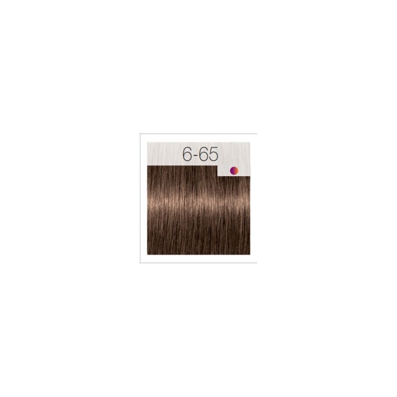 - SCHWARZKOPF - Tinte Igora Royal 6/65 Rubio Oscuro Marrón Dorado 60 ml + oxidante gratis - SCHWARZKOPF - Tinte Igora Royal 6/65 Rubio Oscuro Marrón Dorado 60 ml + oxidante gratis