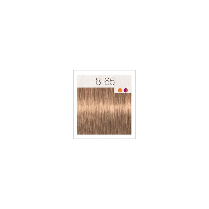 - SCHWARZKOPF - Tinte Igora Royal 8/65 Rubio Claro Marrón Dorado 60 ml + oxidante gratis - SCHWARZKOPF - Tinte Igora Royal 8/65 Rubio Claro Marrón Dorado 60 ml + oxidante gratis