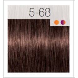 - SCHWARZKOPF - Tinte Igora Royal 5/68 Castaño Claro Marrón Rojo 60 ml + oxidante gratis