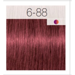 - SCHWARZKOPF - Tinte Igora Royal 6/88 Rubio Oscuro Rojo Intenso 60 ml + oxidante gratis