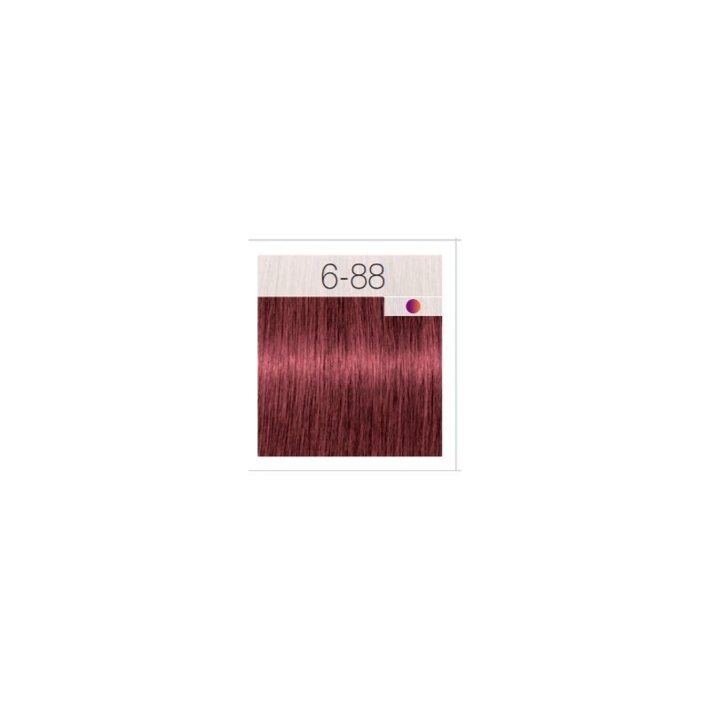 - SCHWARZKOPF - Tinte Igora Royal 6/88 Rubio Oscuro Rojo Intenso 60 ml + oxidante gratis - SCHWARZKOPF - Tinte Igora Royal 6/88 Rubio Oscuro Rojo Intenso 60 ml + oxidante gratis