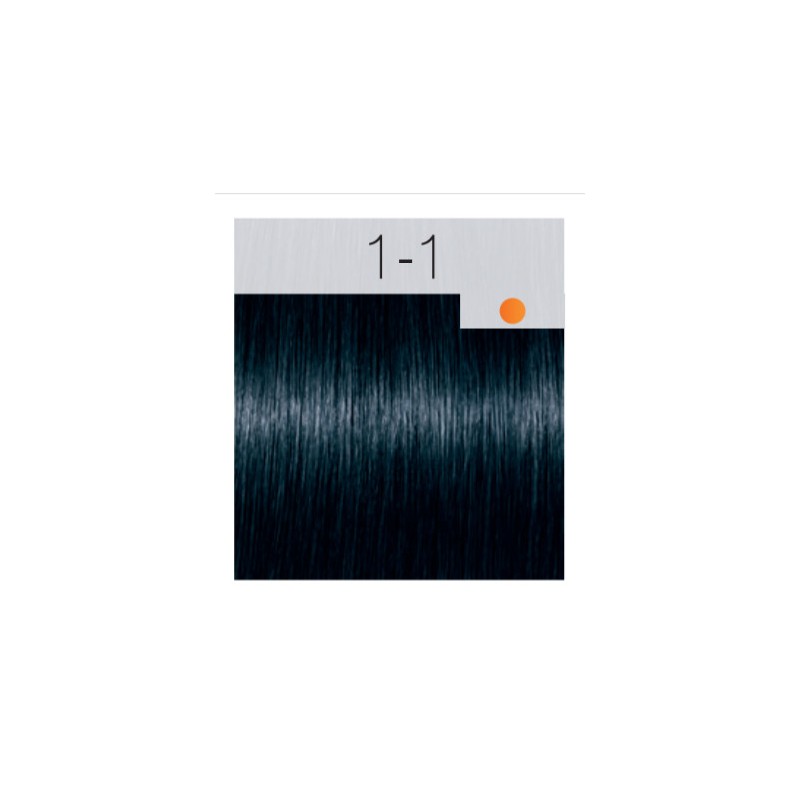 - SCHWARZKOPF - Tinte Igora Royal 1/1 Negro Azul 60 + oxidante gratis - SCHWARZKOPF - Tinte Igora Royal 1/1 Negro Azul 60 + oxidante gratis