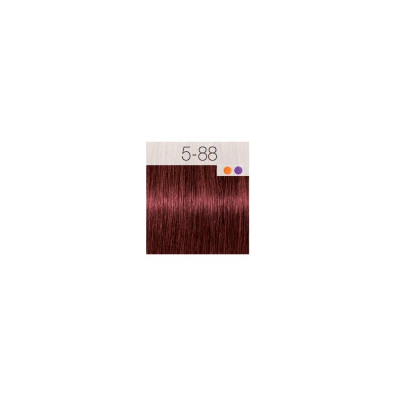 - SCHWARZKOPF - Tinte Igora Royal 5/88 Castaño Claro Rojo Intenso 60 ml + oxidante gratis - SCHWARZKOPF - Tinte Igora Royal 5/88 Castaño Claro Rojo Intenso 60 ml + oxidante gratis