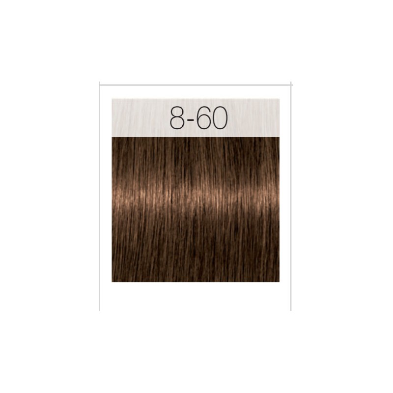 - SCHWARZKOPF - Tinte Igora Royal Absolutes 8/60 Rubio Claro Chocolate Natural 60 ml + oxidante gratis - SCHWARZKOPF - Tinte Igora Royal Absolutes 8/60 Rubio Claro Chocolate Natural 60 ml + oxidante gratis