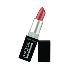 - POSTQUAM - Barra de labios Everyday 4 gramos