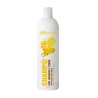 - BLUMIN - Champú con Jengibre y Limón 1000 ml