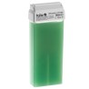 - POLLIE - Cera roll-on aloe vera 100 ml