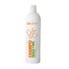 - TAHE - Champú Blumin con Papaya y Miel 1000 ml